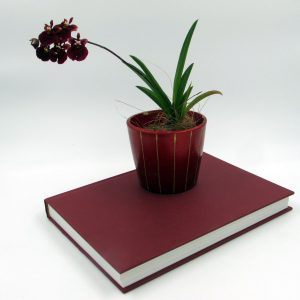 Книги об орхидеях
